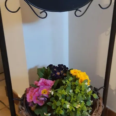 Le Relais Du Cheval Blanc