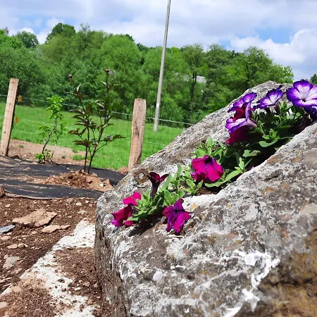 Le Relais Du Cheval Blanc *