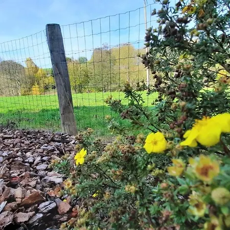 Le Relais Du Cheval Blanc Prázdninový dům