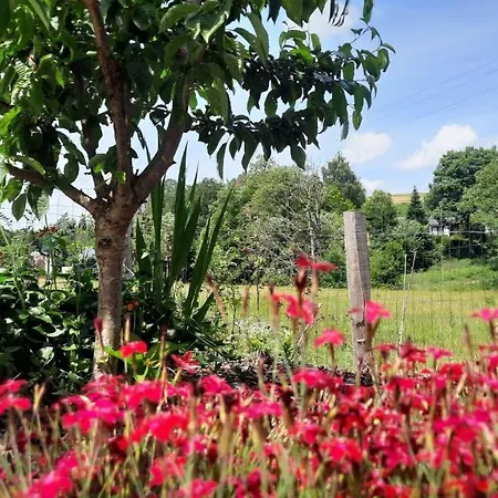 Le Relais Du Cheval Blanc Tenneville